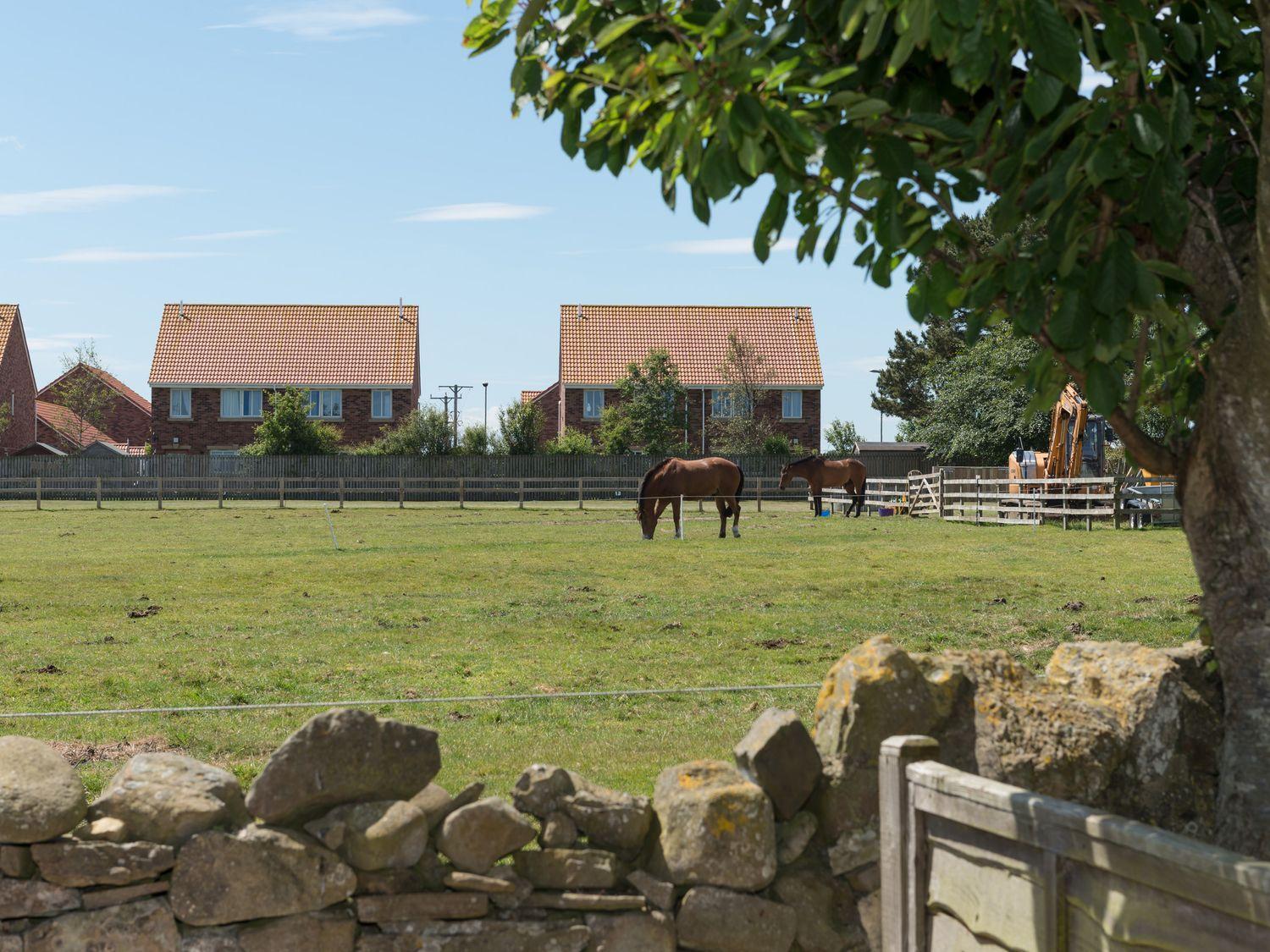 Lavender Cottage Chathill 外观 照片